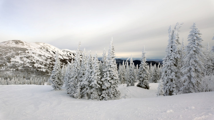 1705651-3f14a-134928390-m750x740-u9d0e6.