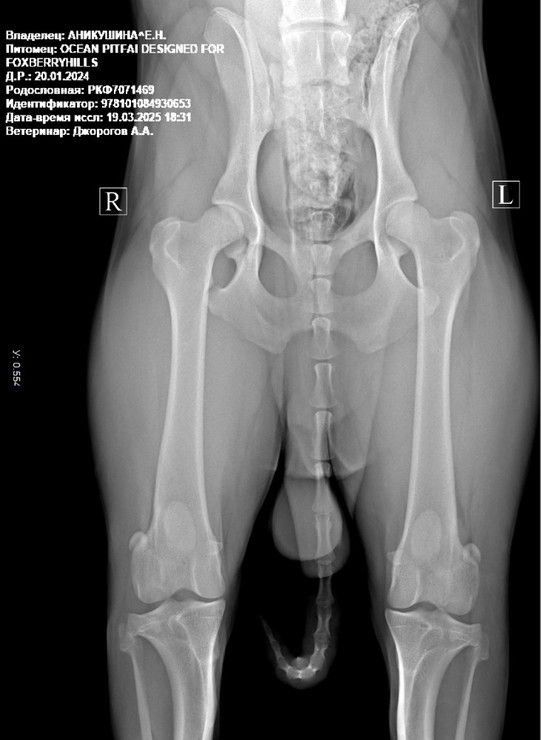 194947-0f880-135506207-m750x740-udf51a.j