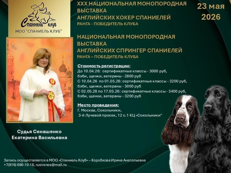 194947-150c7-135482836-m750x740-ueb247.j