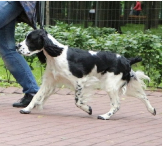 194947-cf62b-135473079-m549x500-ub3641.j