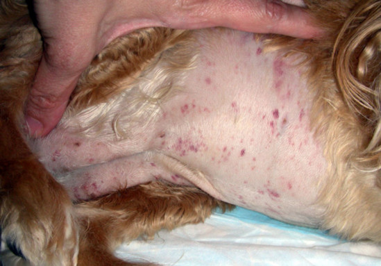 194947-d949d-135506234-m549x500-u6f2ba.j