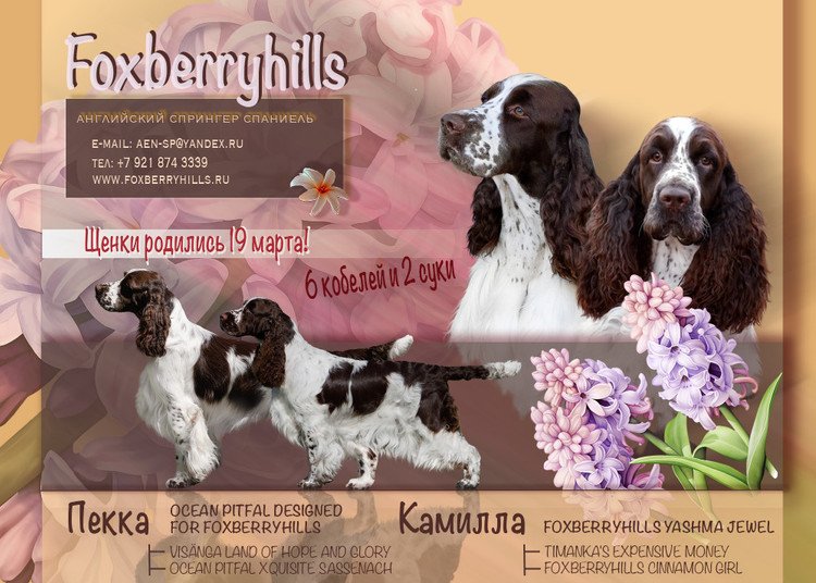 194947-f2475-135482839-m750x740-ud3d2f.j