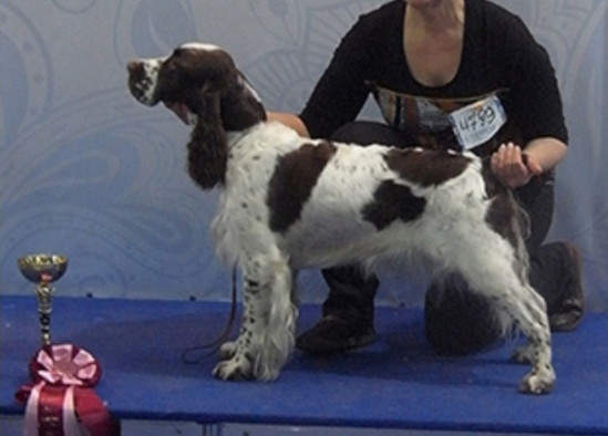 194947-fae0c-135473064-m549x500-u81e89.j